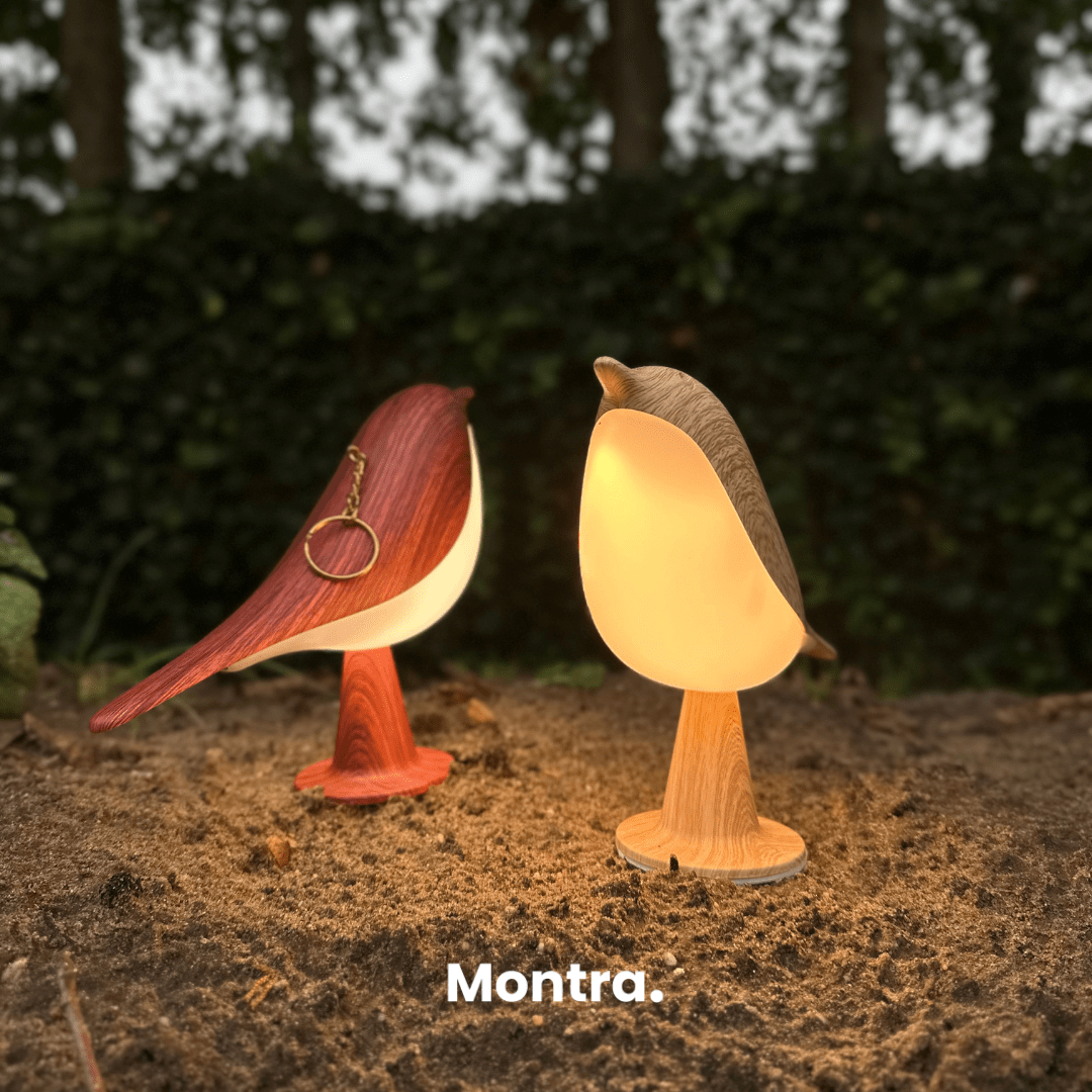 Lightbird™ | Stylish bird lamp - Montra USA